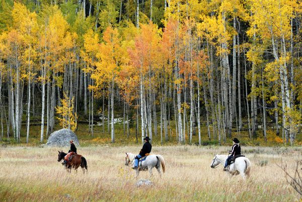 Vista Verde Ranch in Colorado, as featured in Travelife Magazine