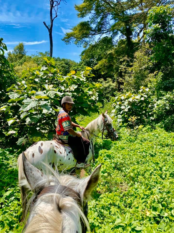 Horse safaris in Tanzania. Where to ride a horse in Kilimanjaro.