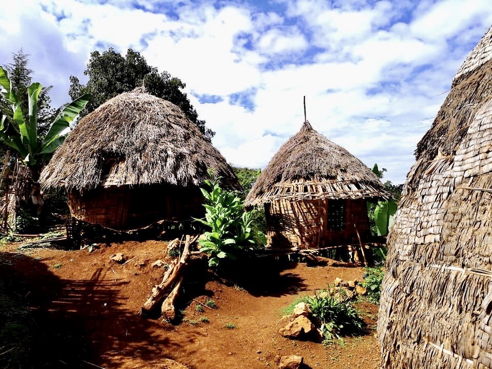 Visiting the Dorze tribe, the oldest tribe in Ethiopia, in the mountains of Arba Minch.